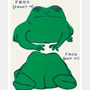 Affiche Frog (Front ), Frog (Back ) 60 x 80 cm D.Shrigley David Shrigley