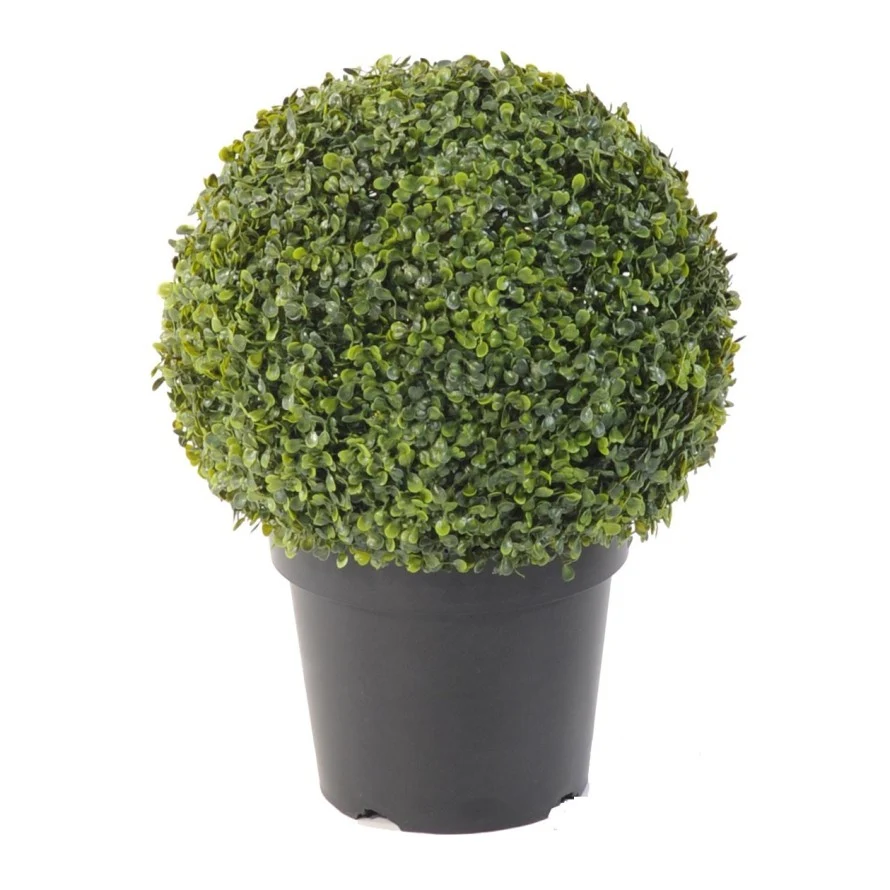BOULE DE BUIS EN POT VERT ESPACE