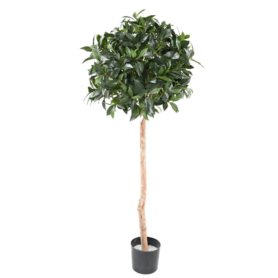 BOULE DE LAURIER VERT ESPACE