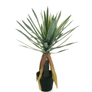 ALOEVERA TRONC Votre Terrasse