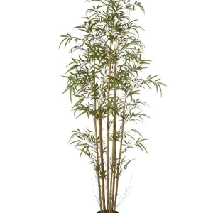 BAMBOU 192CM Votre Terrasse