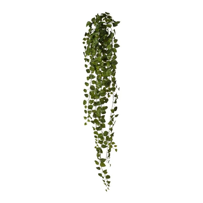 POTHOS Votre Terrasse
