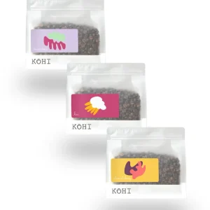 TRIO AUDACIEUX KOHI Micro-torréfacteur