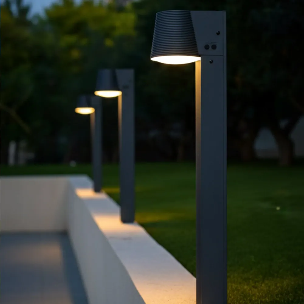 SOLINE TALL