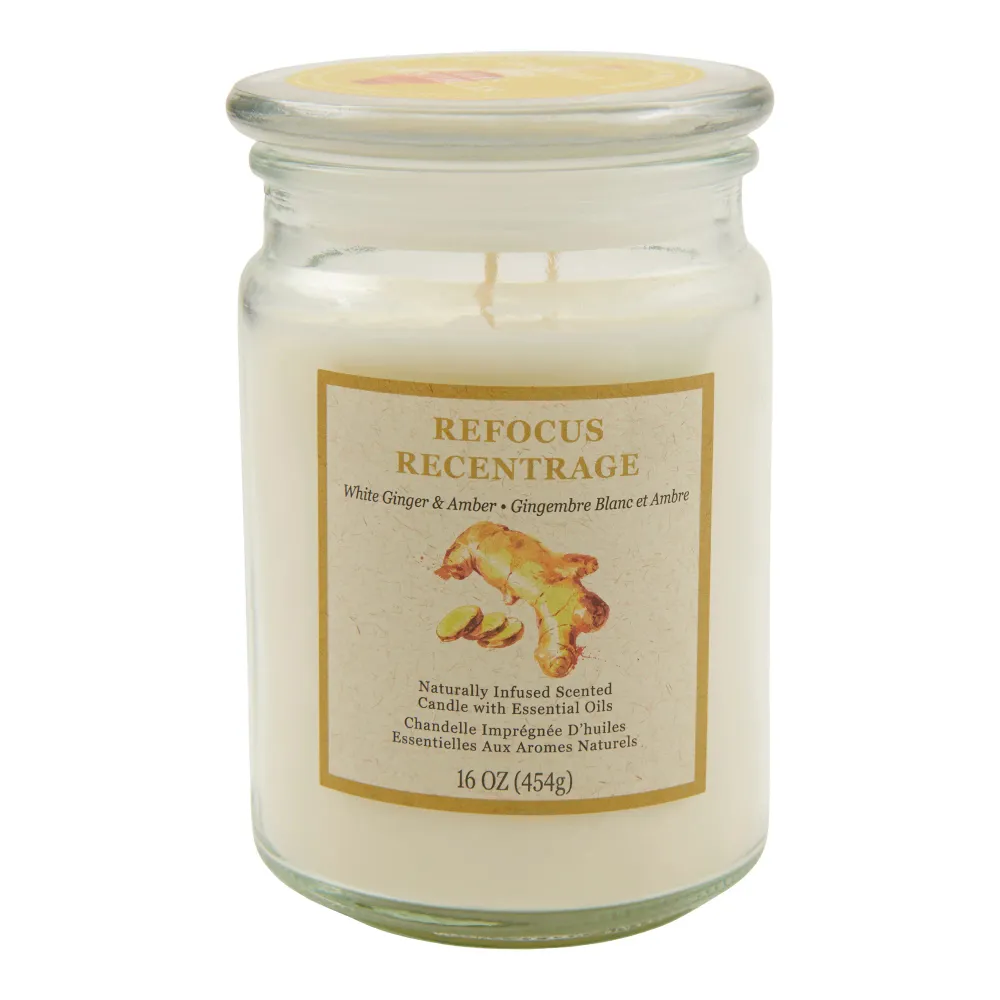 Chandelle en pot, gingembre et ambre, 16 oz Giant Tiger