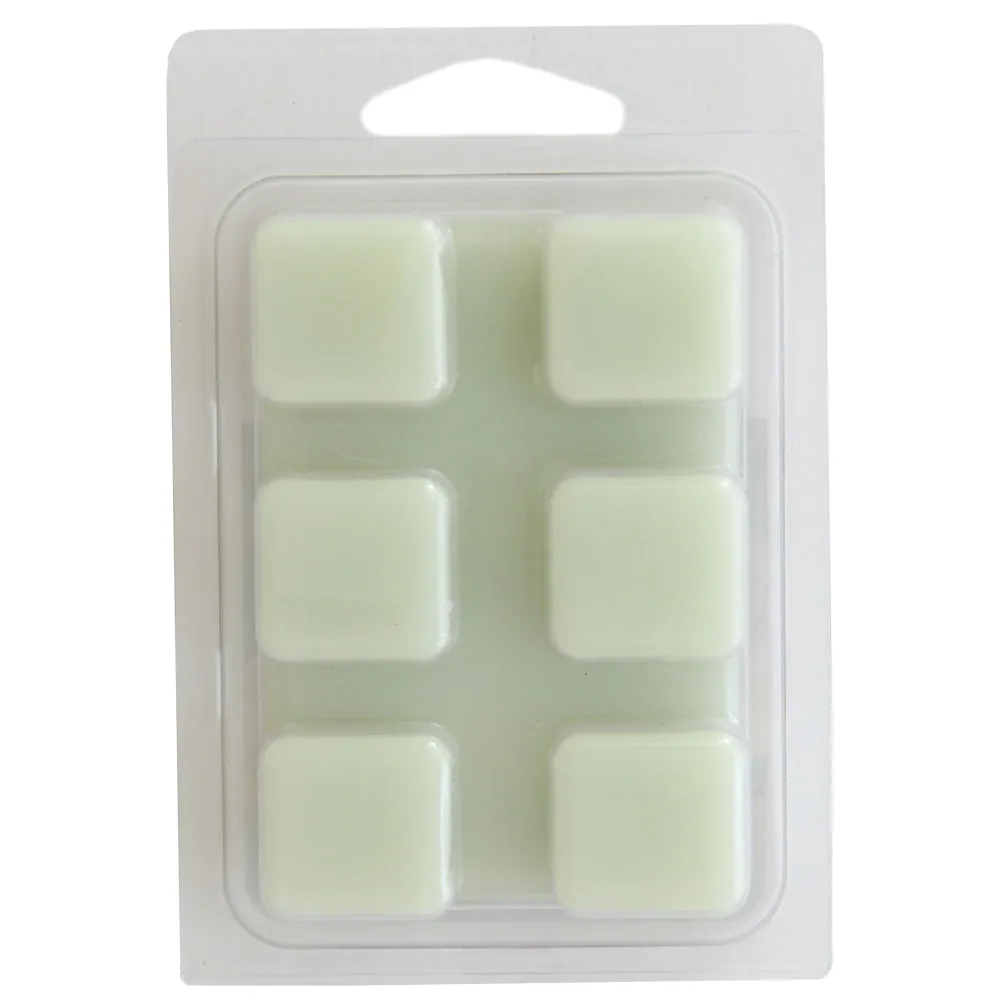 Cubes de cire parfumés, boutique de fleurs, emb. de 6 Giant Tiger