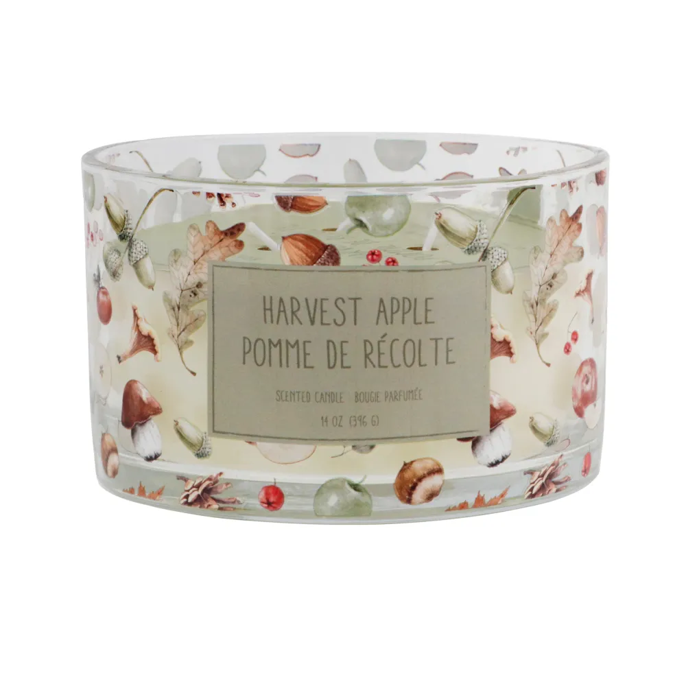 Bougie d'automne HomeStyles, 14 oz