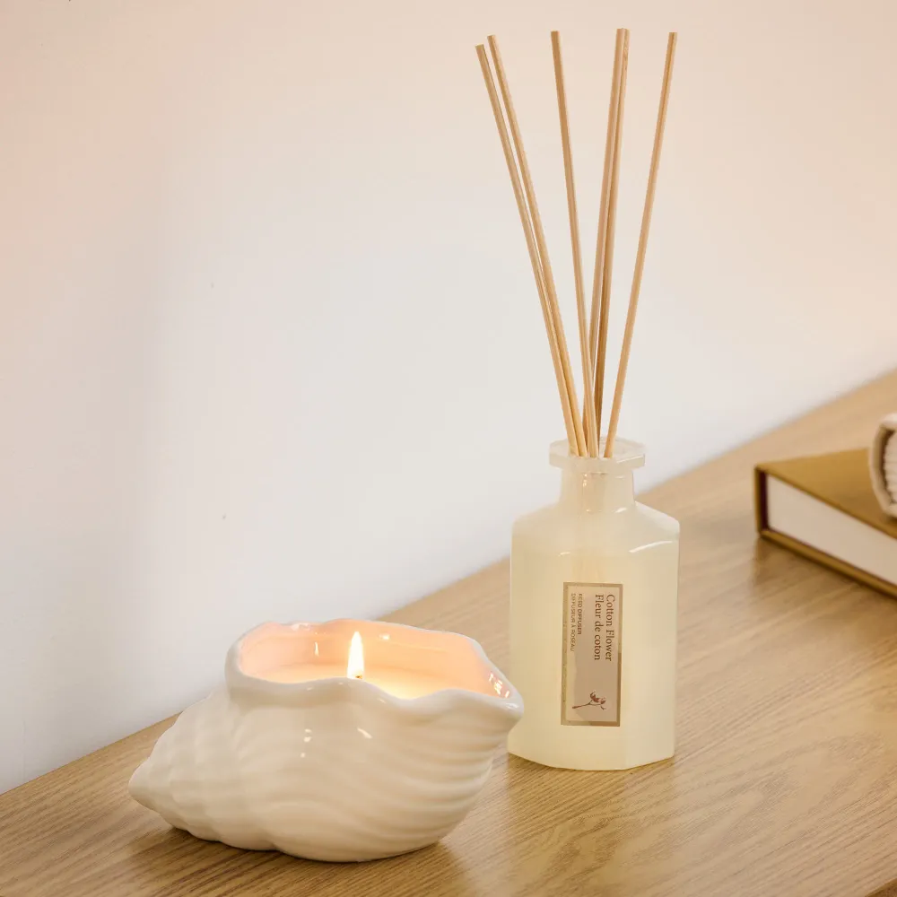 Diffuseur à roseaux HomeStyles, 100 ml