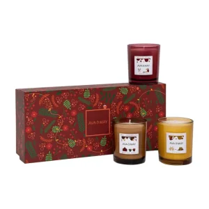 Coffret Cadeau - Cozy Drinks - Notes fruitées Ava & May