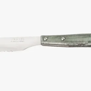 Couteau à steak en bois de peuplier prend en charge LV bleuté 110 mm Compatible avec Lames Céramiques