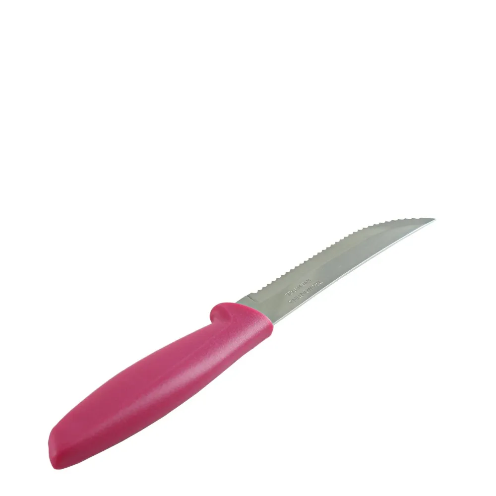 Tramontina Steak Knife 13cm - Rose vif en Acier Inoxydable Damas
