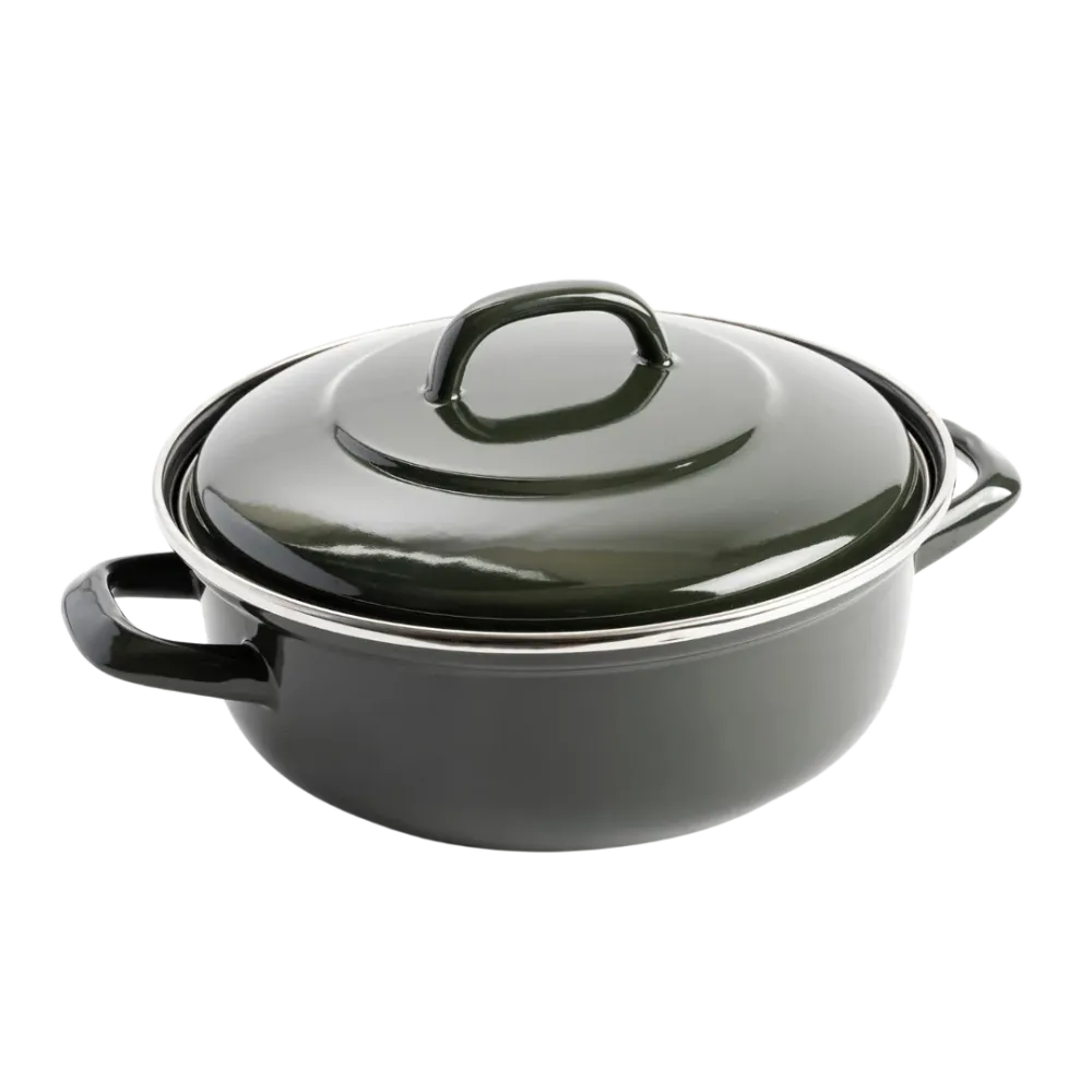 'Dagelijkse kost' cocotte 22cm