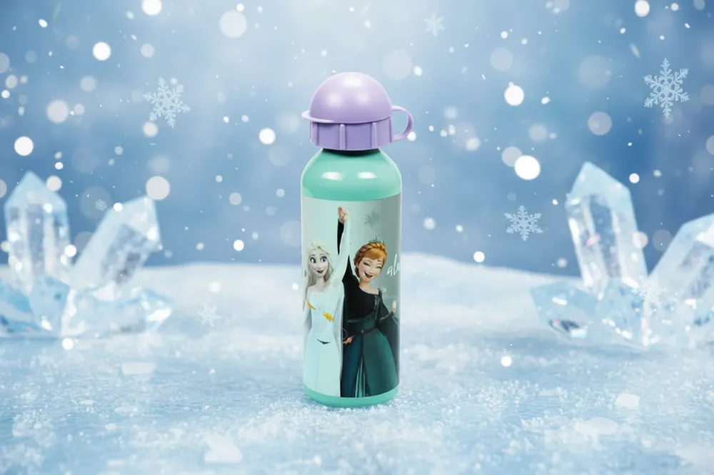 (Précommande) Gourde en aluminium Reine des neiges 520ml Trésors et Merveilles
