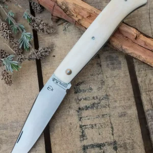 PassionFrance Alpine Buffalo Bone, RWL34, station de ski douce