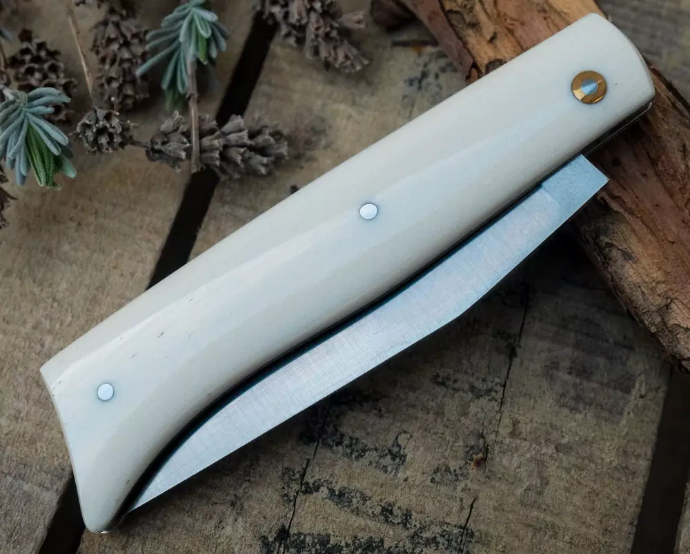 PassionFrance Alpine Buffalo Bone, RWL34, station de ski douce