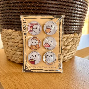 LOT DE 6 MINI MAGNETS MAGIQUES Sweed Poco