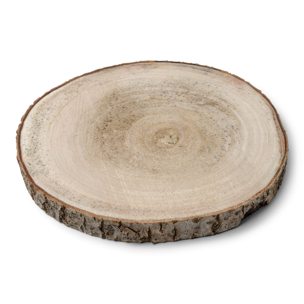 Rondin de bois pour décoration 10x2 cm