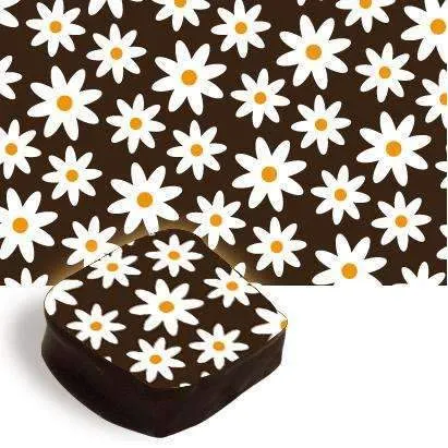Feuille de transfert de fleur de marguerite Design & Realisation