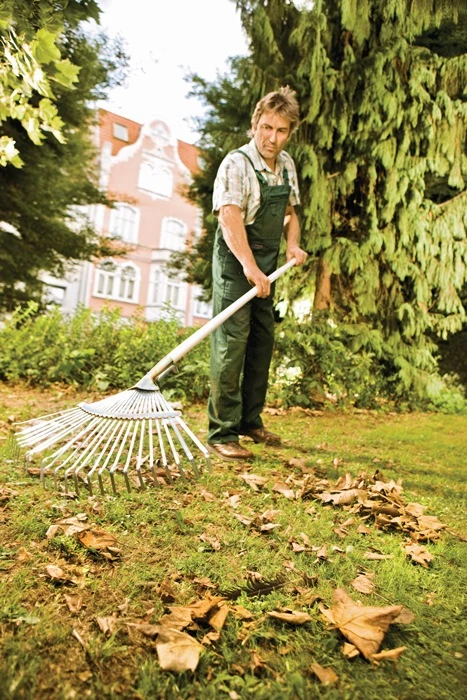 Balai à feuilles Flora ( 4000819559 ) Largeur de travail 450 mm fixe