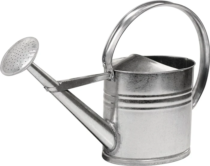 Arrosoir ( 4000819683 ) 10 l métal galvanisé Sonstige