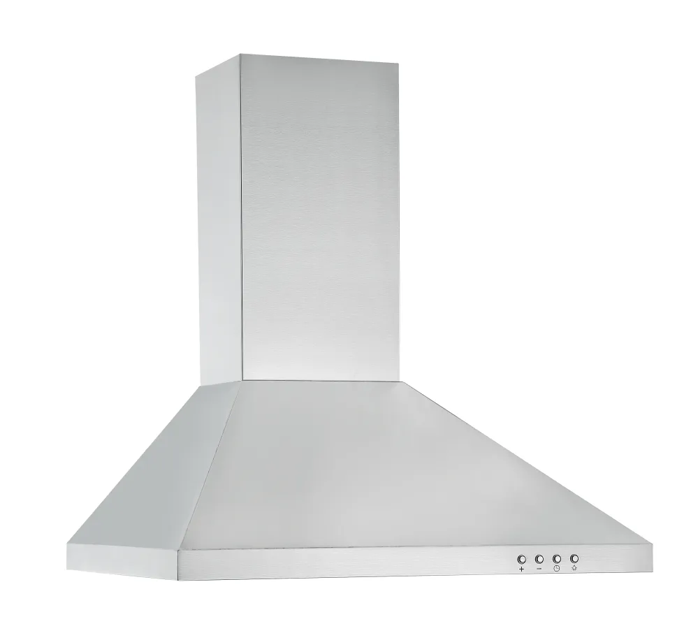 Ancona Hotte de cuisine WPP424 de 24 po. convertible à fixation murale en acier inoxydable Ancona Home