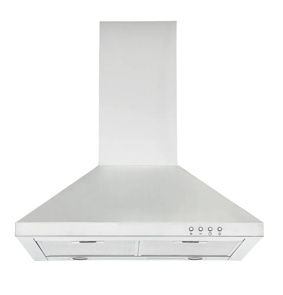 Ancona Hotte de cuisine WPP424 de 24 po. convertible à fixation murale en acier inoxydable Ancona Home