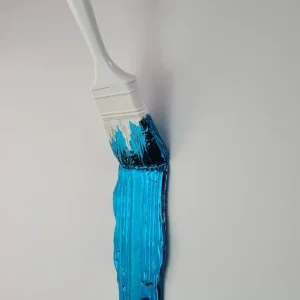 Brush Santicri