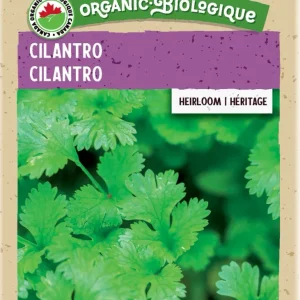 SEMENCES DE FINES HERBES BIO: CORIANDRE *CILANTRO* A.E. MCKENZIE CO.