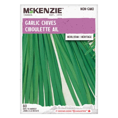 SEMENCES DE FINES HERBES: CIBOULETTE - L AIL A.E. MCKENZIE CO.