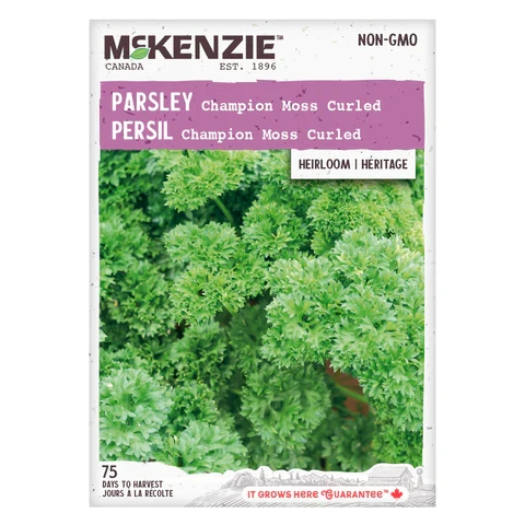 SEMENCES DE FINES HERBES: PERSIL - CHAMPION MOSS CURLED A.E. MCKENZIE CO.