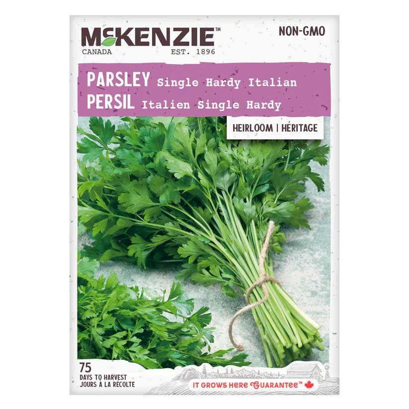 SEMENCES DE FINES HERBES: PERSIL - ITALIEN SINGLE HARDY A.E. MCKENZIE CO.