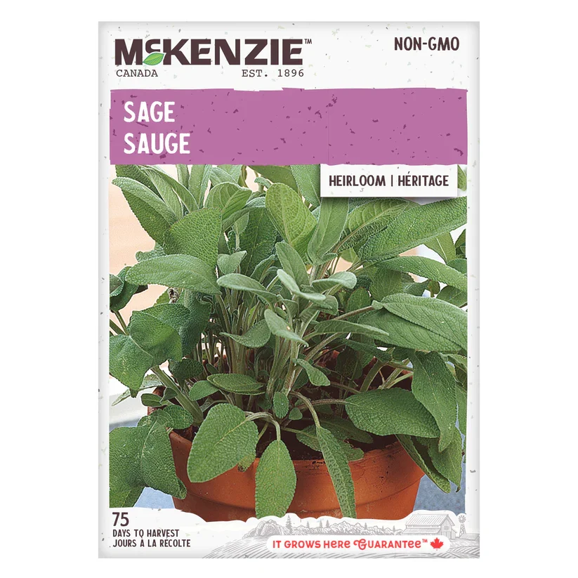 SEMENCES DE FINES HERBES: SAUGE A.E. MCKENZIE CO.