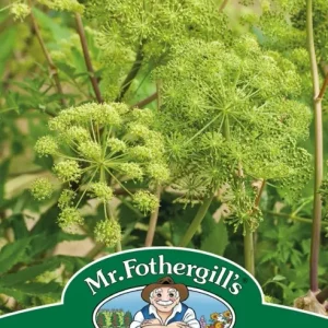 SEMENCES DE FINES HERBES: ANGELIQUE FOOTPRINT PRODUCTS LIMITED