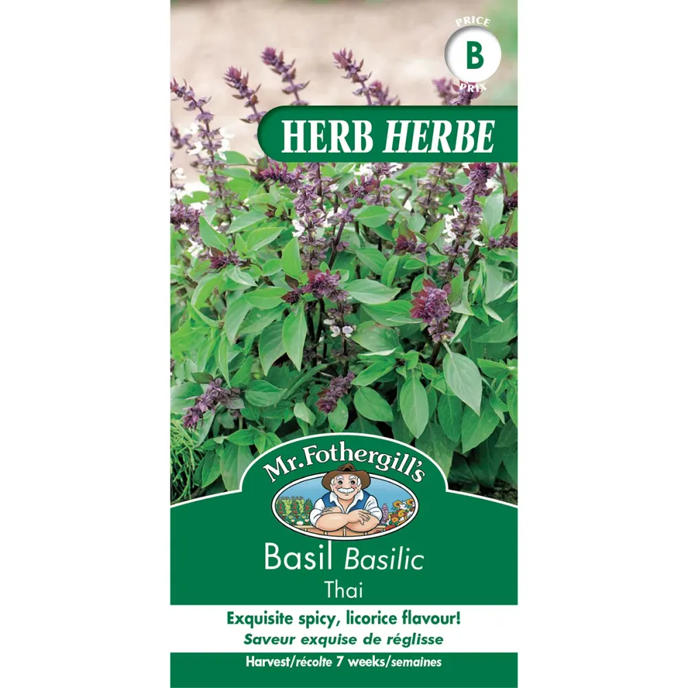 SEMENCES DE FINES HERBES: BASILIC - THAI FOOTPRINT PRODUCTS LIMITED