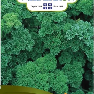 SEMENCES DE FINES HERBES: PERSIL - FRISÉ VERT FONCÉ NORSECO