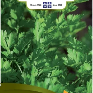 SEMENCES DE FINES HERBES: PERSIL - ITALIEN NORSECO