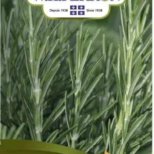 SEMENCES DE FINES HERBES: ROMARIN NORSECO