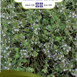 SEMENCES DE FINES HERBES: THYM - HIVER NORSECO