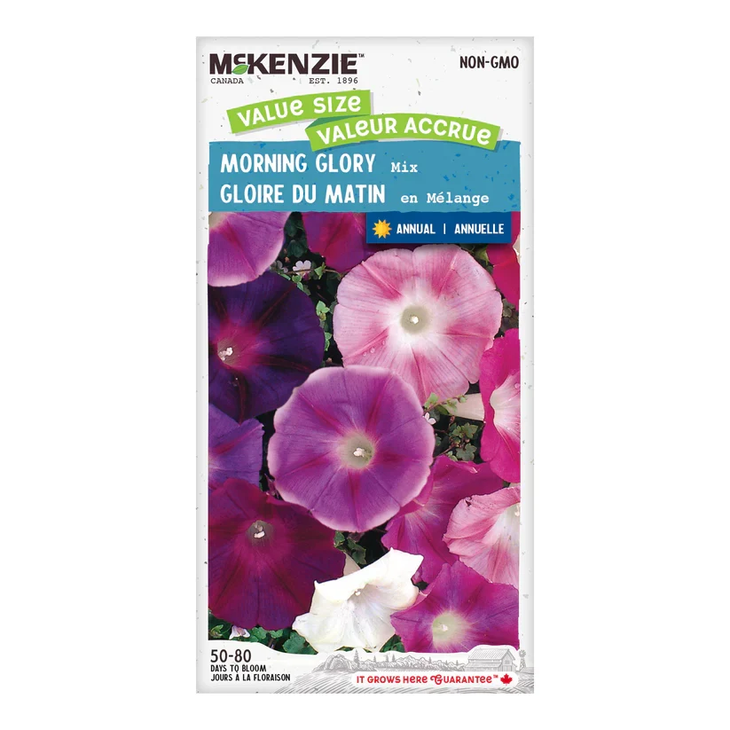 SEMENCE DE FLEURS: GLOIRE DU MATIN EN MÉLANGE A.E. MCKENZIE CO.