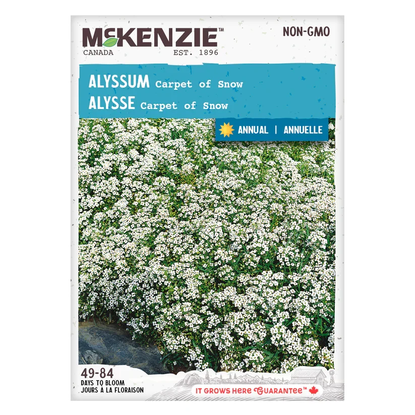 SEMENCES DE FLEURS: ALYSSUM - CARPET SNOW A.E. MCKENZIE CO.