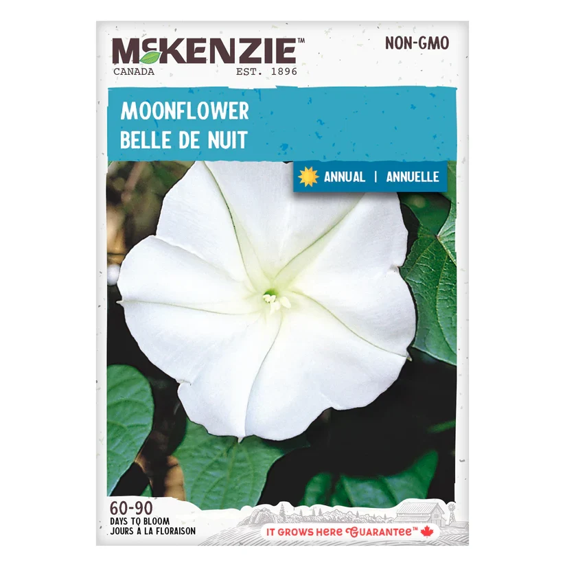 SEMENCES DE FLEURS: BELLE DE NUIT A.E. MCKENZIE CO.