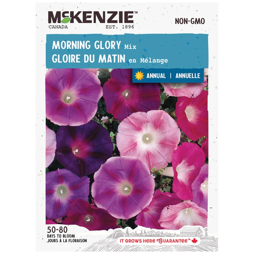 SEMENCES DE FLEURS: GLOIRE DU MATIN EN MELANGE A.E. MCKENZIE CO.