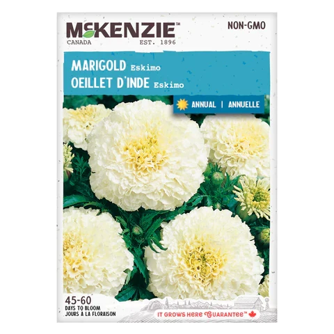 SEMENCES DE FLEURS / OEILLET D'INDE - ESKIMO A.E. MCKENZIE CO.