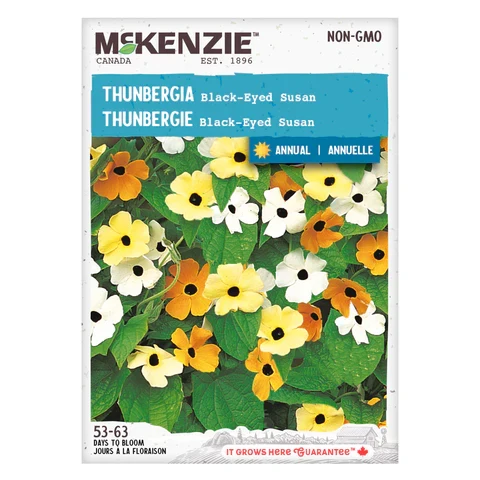 SEMENCES DE FLEURS: THUNBERIE - BLACK EYED SUSAN A.E. MCKENZIE CO.