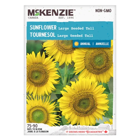 SEMENCES DE FLEURS: TOURNESOL - LARGE SEEDED TALL A.E. MCKENZIE CO.