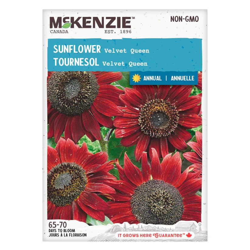 SEMENCES DE FLEURS: TOURNESOL - VELVET QUEEN A.E. MCKENZIE CO.