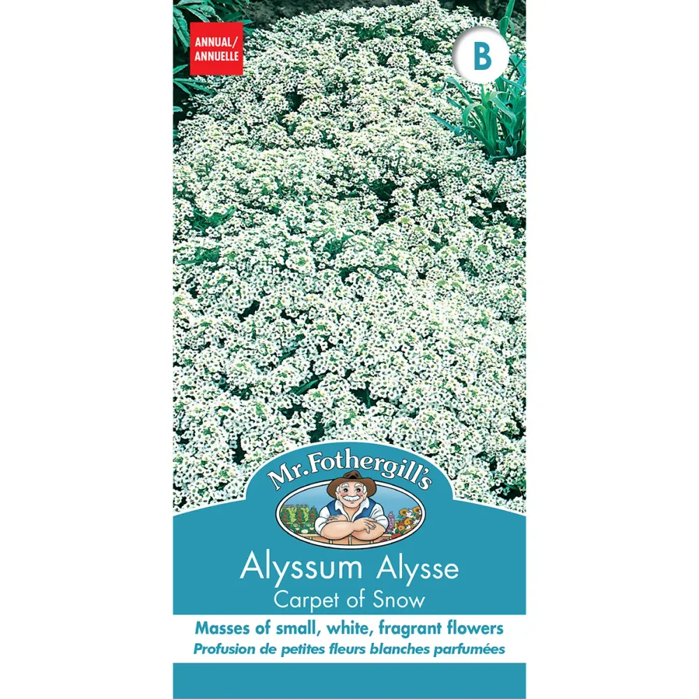 SEMENCES DE FLEURS: ALYSSE - CARPET SNOW FOOTPRINT PRODUCTS LIMITED