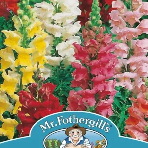 SEMENCES DE FLEURS: ANTIRRHINUM - SNAPDRAGON RUST RESIST FOOTPRINT PRODUCTS LIMITED
