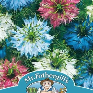 SEMENCES DE FLEURS: NIGELLE - PERSIAN JEWELS FOOTPRINT PRODUCTS LIMITED