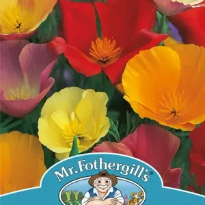 SEMENCES DE FLEURS: PAVOT DE CALIFORNIE - SINGLE MIXED FOOTPRINT PRODUCTS LIMITED